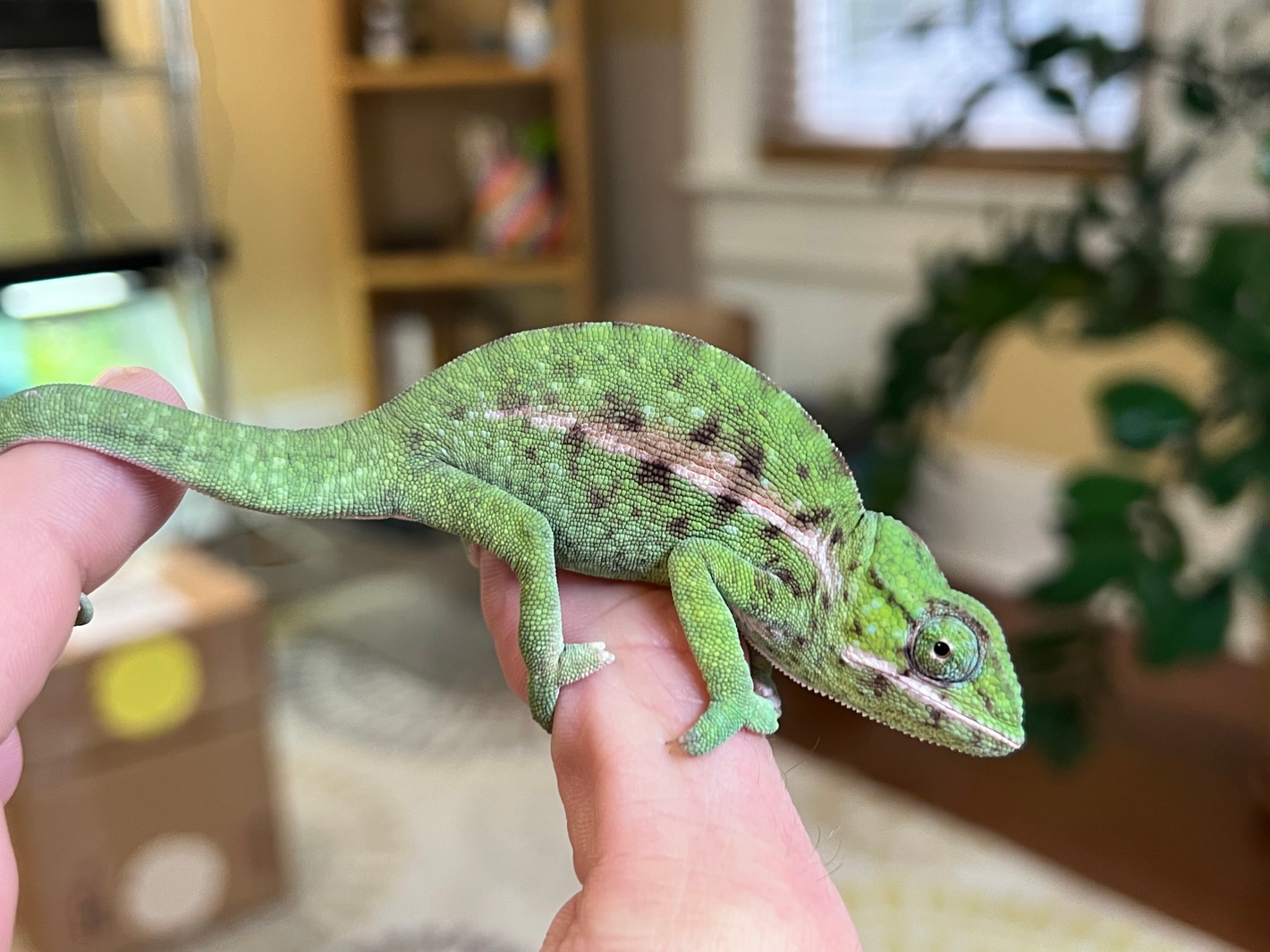 337KB 2001 null null null null null null 3 2003 null GTeFyicJm UhAM